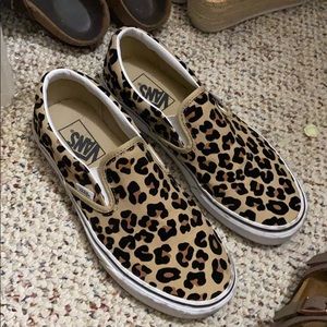 Cheetah vans